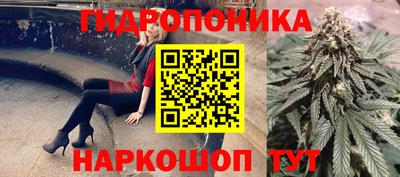 МДПВ Сланцы