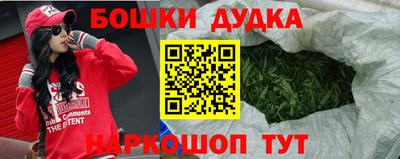 МДПВ Сланцы