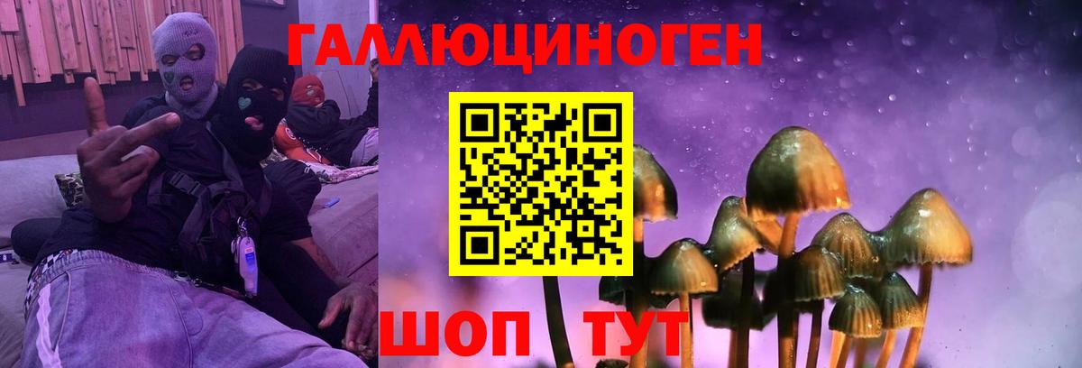 Псилоцибиновые грибы мицелий Отрадное